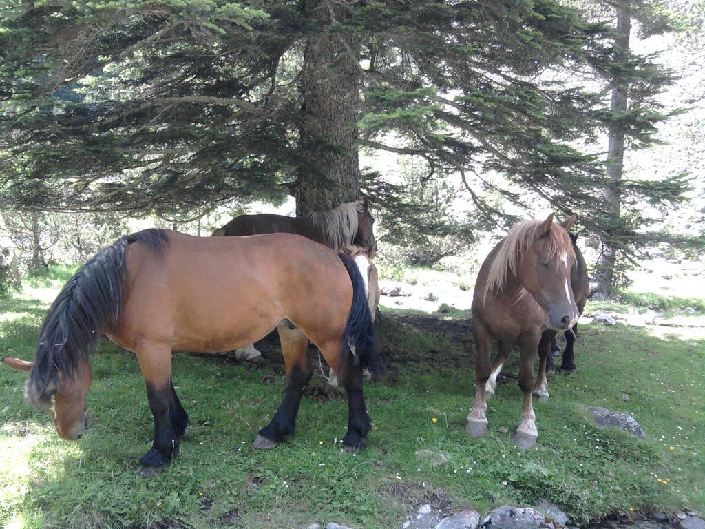 Vacances Perennes Cauterets Exterior foto