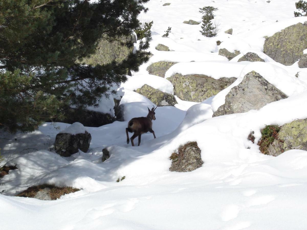 Vacances Perennes Cauterets Exterior foto